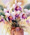 Seven-Orchids